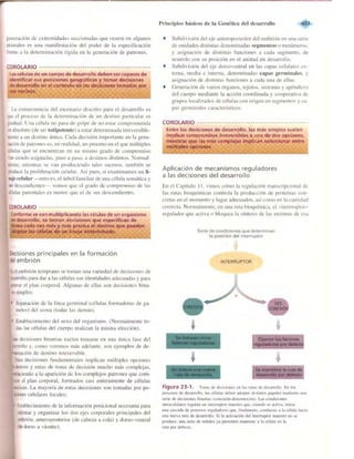 Griffiths anthony   genetica (7ed)