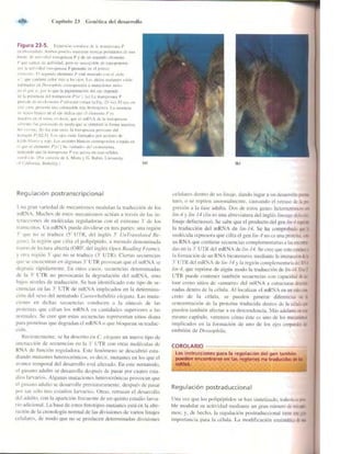 Griffiths anthony   genetica (7ed)