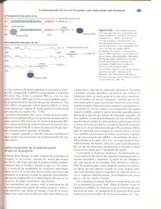 Griffiths anthony   genetica (7ed)