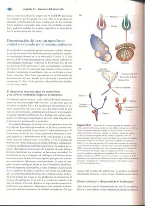 Griffiths anthony   genetica (7ed)