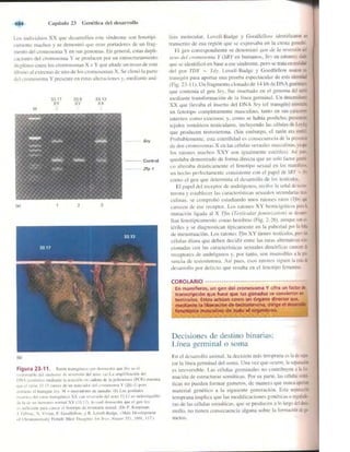 Griffiths anthony   genetica (7ed)