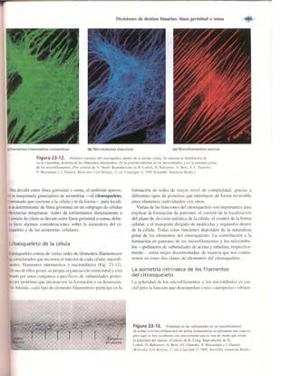 Griffiths anthony   genetica (7ed)