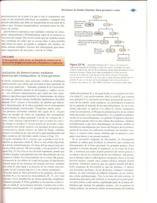 Griffiths anthony   genetica (7ed)