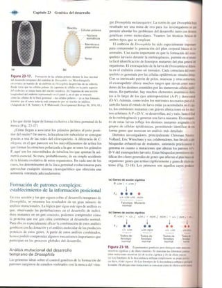 Griffiths anthony   genetica (7ed)