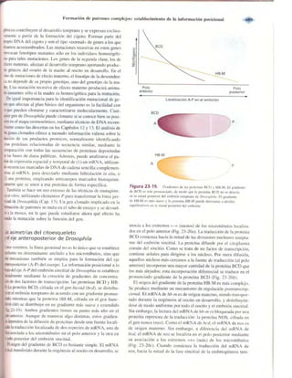 Griffiths anthony   genetica (7ed)