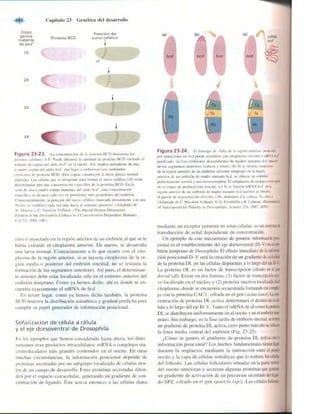 Griffiths anthony   genetica (7ed)