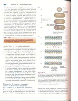 Griffiths anthony   genetica (7ed)