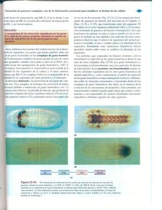 Griffiths anthony   genetica (7ed)