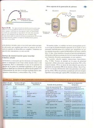 Griffiths anthony   genetica (7ed)