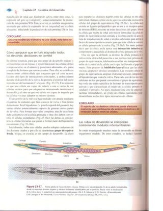 Griffiths anthony   genetica (7ed)