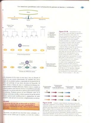 Griffiths anthony   genetica (7ed)