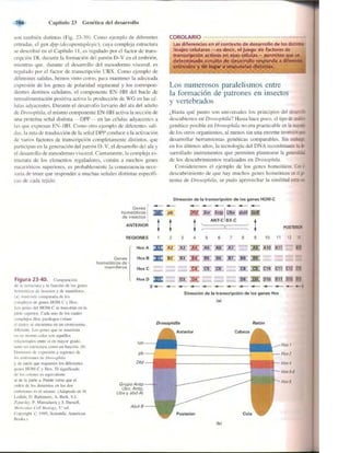 Griffiths anthony   genetica (7ed)