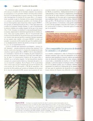 Griffiths anthony   genetica (7ed)