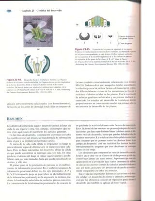 Griffiths anthony   genetica (7ed)