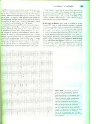 Griffiths anthony   genetica (7ed)