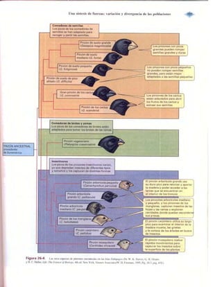 Griffiths anthony   genetica (7ed)