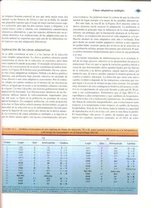 Griffiths anthony   genetica (7ed)