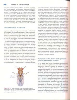 Griffiths anthony   genetica (7ed)