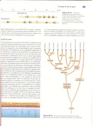 Griffiths anthony   genetica (7ed)