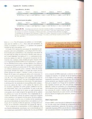 Griffiths anthony   genetica (7ed)
