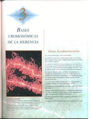 Griffiths anthony   genetica (7ed)