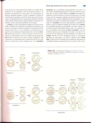 Griffiths anthony   genetica (7ed)