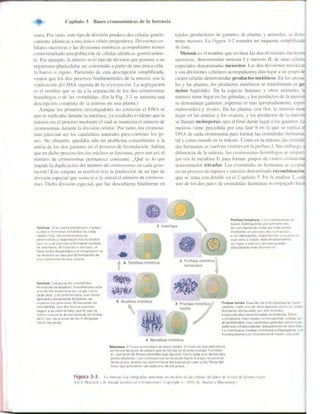 Griffiths anthony   genetica (7ed)