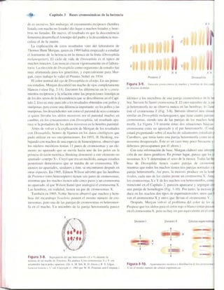 Griffiths anthony   genetica (7ed)
