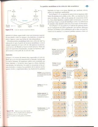 Griffiths anthony   genetica (7ed)