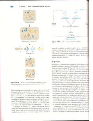 Griffiths anthony   genetica (7ed)