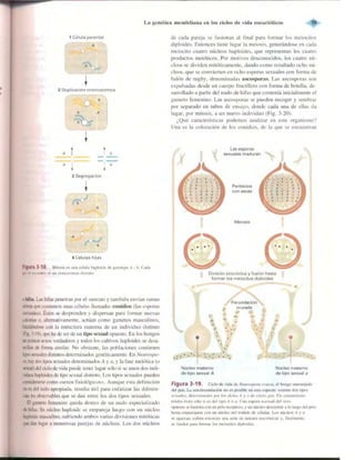 Griffiths anthony   genetica (7ed)