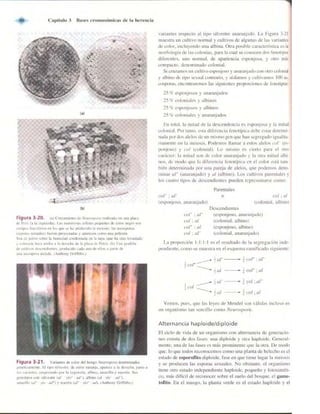 Griffiths anthony   genetica (7ed)