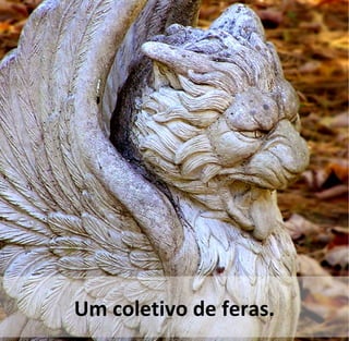 Um coletivo de feras.
 