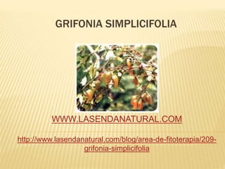 GRIFONIA SIMPLICIFOLIA
WWW.LASENDANATURAL.COM
http://www.lasendanatural.com/blog/area-de-fitoterapia/209-
grifonia-simplicifolia
 