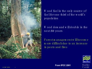 Wood fuel is the only source of fuel for one third of the world’s population Wood demand will double in the next 50 years Forest management will become more difficult due to an increase in pests and fires 
