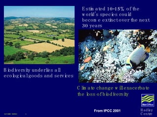 Biodiversity underlies all ecological goods and services Climate change will exacerbate the loss of biodiversity Estimated 10-15% of the world’s species could become extinct over the next 30 years 