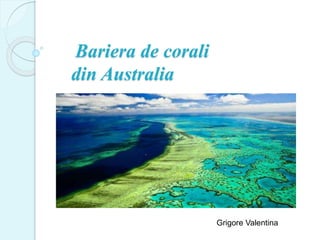 Bariera de corali
din Australia
Grigore Valentina
 