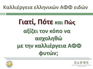 Καλλιέργεια ελληνικών ΑΦΦ ειδών
Γιατί, Πότε και Πώς
αξίζει τον κόπο να
ασχοληθώ
με την καλλιέργεια ΑΦΦ
φυτών;
 