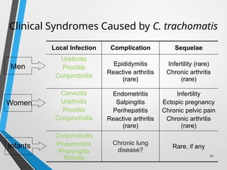 57
Clinical Syndromes Caused by C. trachomatis
Local Infection Complication Sequelae
Urethritis
Proctitis
Conjunctivitis
Epididymitis
Reactive arthritis
(rare)
Infertility (rare)
Chronic arthritis
(rare)
Cervicitis
Urethritis
Proctitis
Conjunctivitis
Endometritis
Salpingitis
Perihepatitis
Reactive arthritis
(rare)
Infertility
Ectopic pregnancy
Chronic pelvic pain
Chronic arthritis
(rare)
Conjunctivitis
Pneumonitis
Pharyngitis
Rhinitis
Chronic lung
disease?
Rare, if any
Men
Women
Infants
 