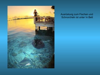 Ausrüstung zum Fischen und
Schnorcheln ist unter´m Bett
 