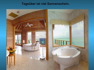 Tagsüber ist viel Sonnenschein.
 