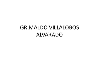 GRIMALDO VILLALOBOS ALVARADO 