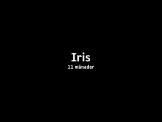 Iris
11 månader
 