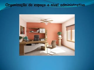 Organização do espaço a nivel administrativo