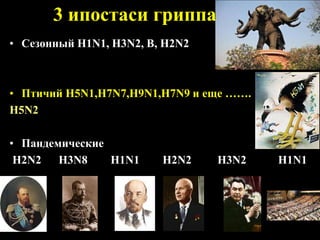 3 ипостаси гриппа
• Сезонный H1N1, H3N2, B, H2N2
• Птичий H5N1,H7N7,Н9N1,H7N9 и еще …….
H5N2
• Пандемические
H2N2 H3N8 H1N1 H2N2 H3N2 H1N1
 