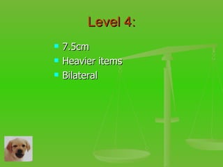 Level 4: 7.5cm Heavier items Bilateral 
