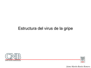 Estructura del virus de la gripe




                            Jaime Martín-Benito Romero
 