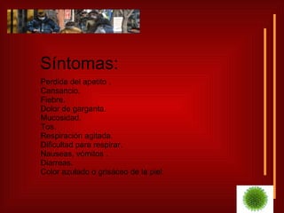 Síntomas: Perdida del apetito . Cansancio. Fiebre. Dolor de garganta.  Mucosidad. Tos. Respiración agitada. Dificultad para respirar. Nauseas, vómitos . Diarreas. Color azulado o grisáceo de la piel. 