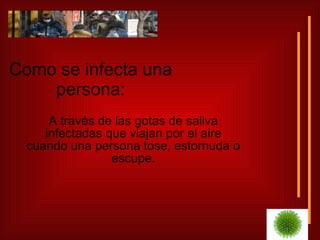 Como se infecta una persona: A través de las gotas de saliva infectadas que viajan por el aire cuando una persona tose, estornuda o escupe. 