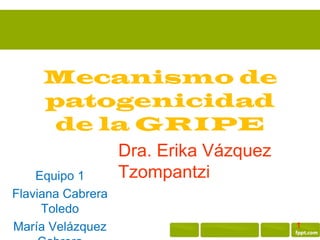 Mecanismo de
     patogenicidad
      de la GRIPE
                   Dra. Erika Vázquez
    Equipo 1       Tzompantzi
Flaviana Cabrera
     Toledo
María Velázquez                         1
 